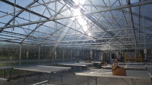 New greenhouse at Sipp Culture Community Farm